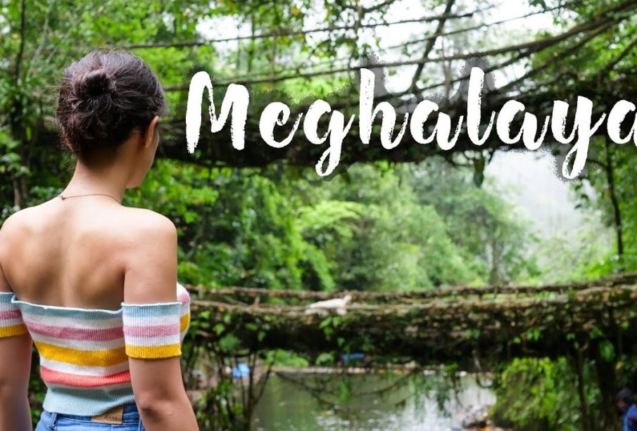 Visit In Meghalaya