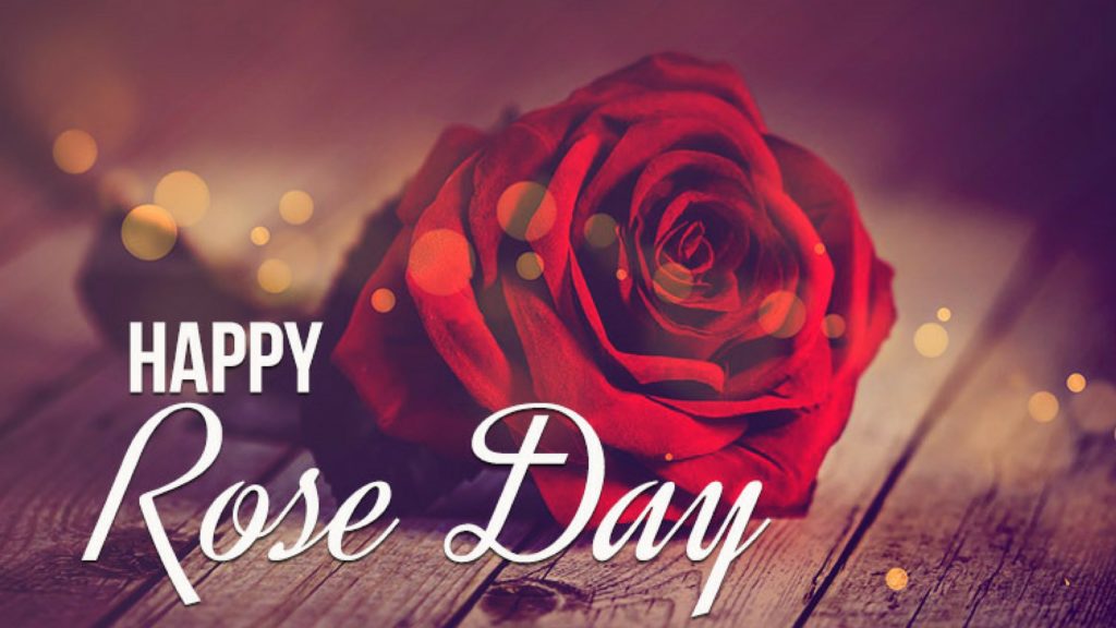 happy rose day