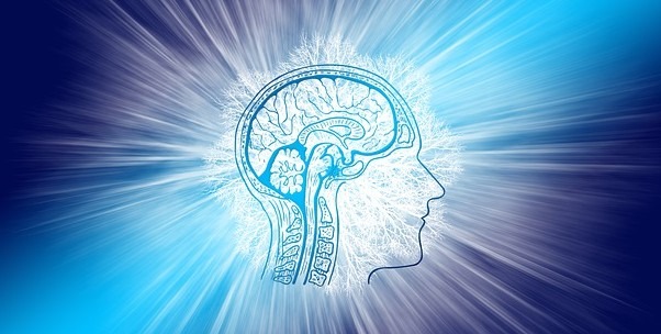 Why do you need Nootropics to unleash your brainpower