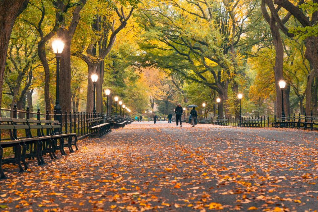 Central Park is one of the reasons why Manhattan is the best borough to live in