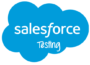 A Guide on Advantages of Salesforce Testing