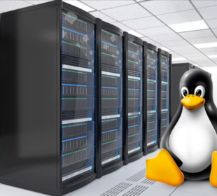 Top Linux Distros for Servers
