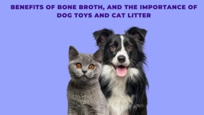 Benefits of Bone Broth, and the Importance of Dog Toys and Cat Litter