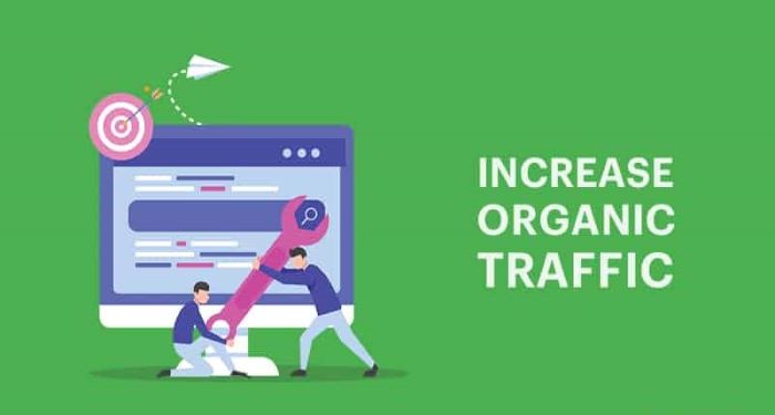 Increase-Organic-traffic