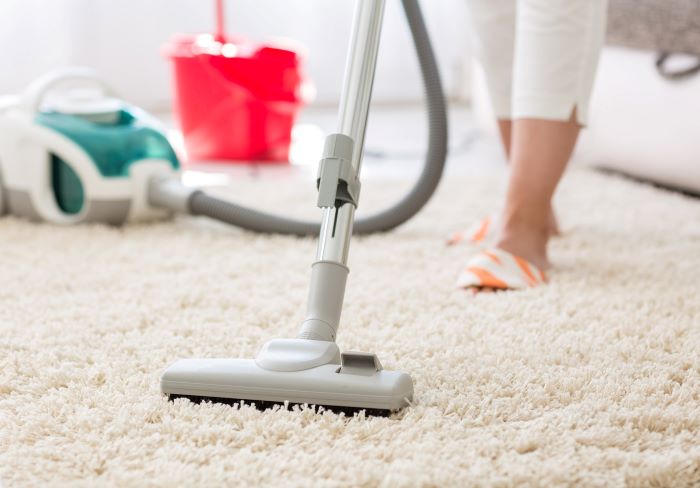 Scheduling Regular Professional Cleanings The Key to Long-lasting Carpets