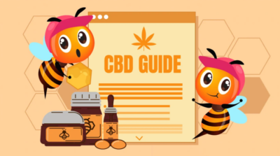 A Comprehensive CBD Guide for Beginners