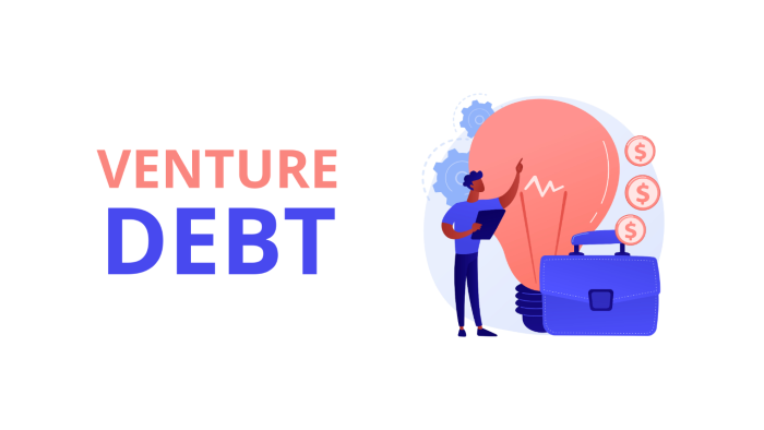 Importance of Venture Debt